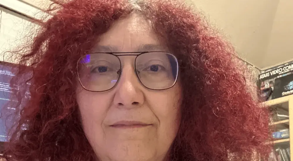 Rebecca Heineman face