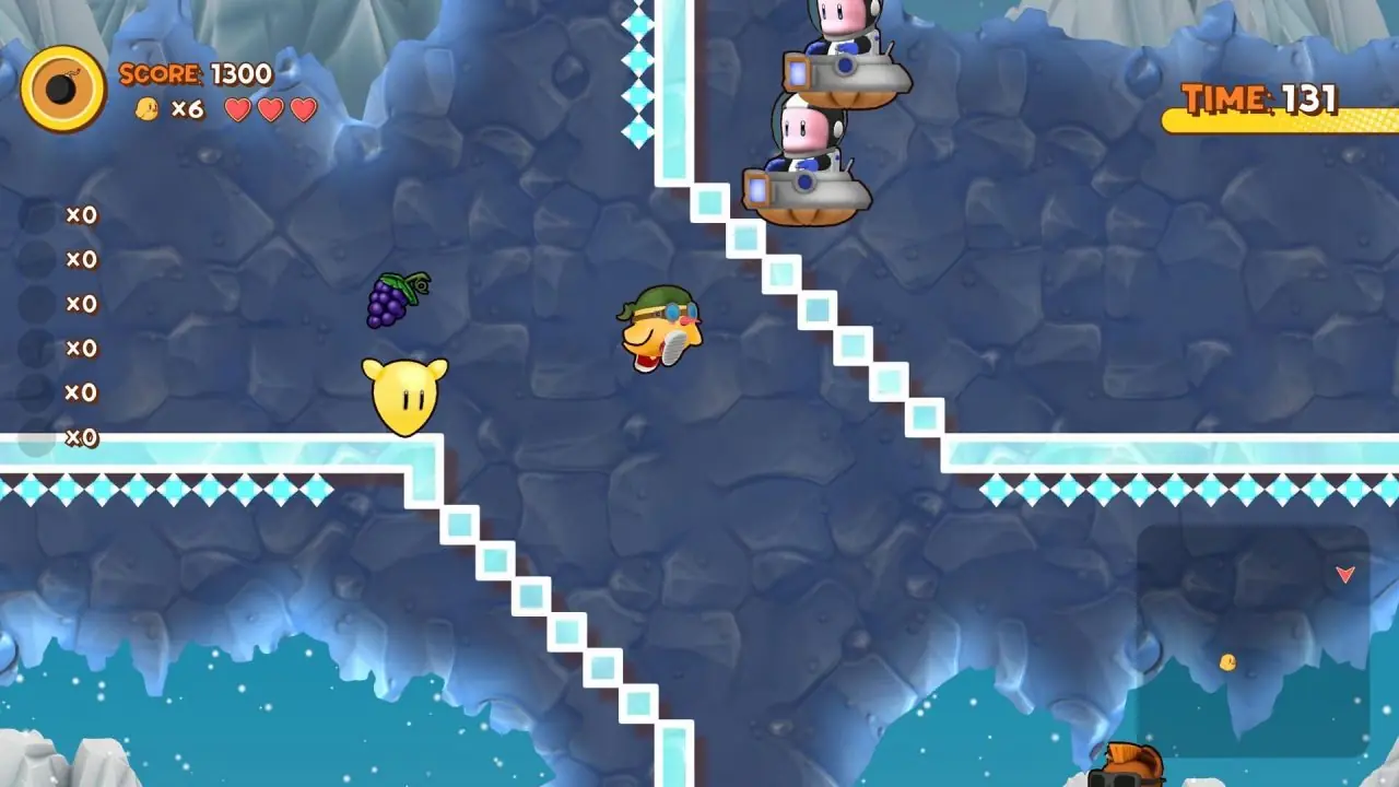 the newzealand story 222